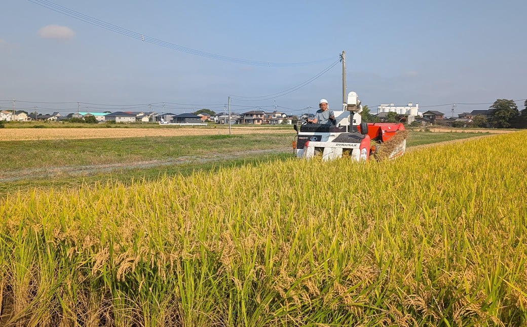 福岡県産実りつくし5kg×1袋 白米 はくまい 米 こめ ご飯 精米 国産
