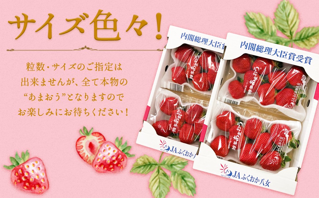いちご 「あまおう」 約270g×10パック 計約2700g 苺 イチゴ 果物 フルーツ 【2026年2月上旬～2026年3月下旬順次発送予定】
