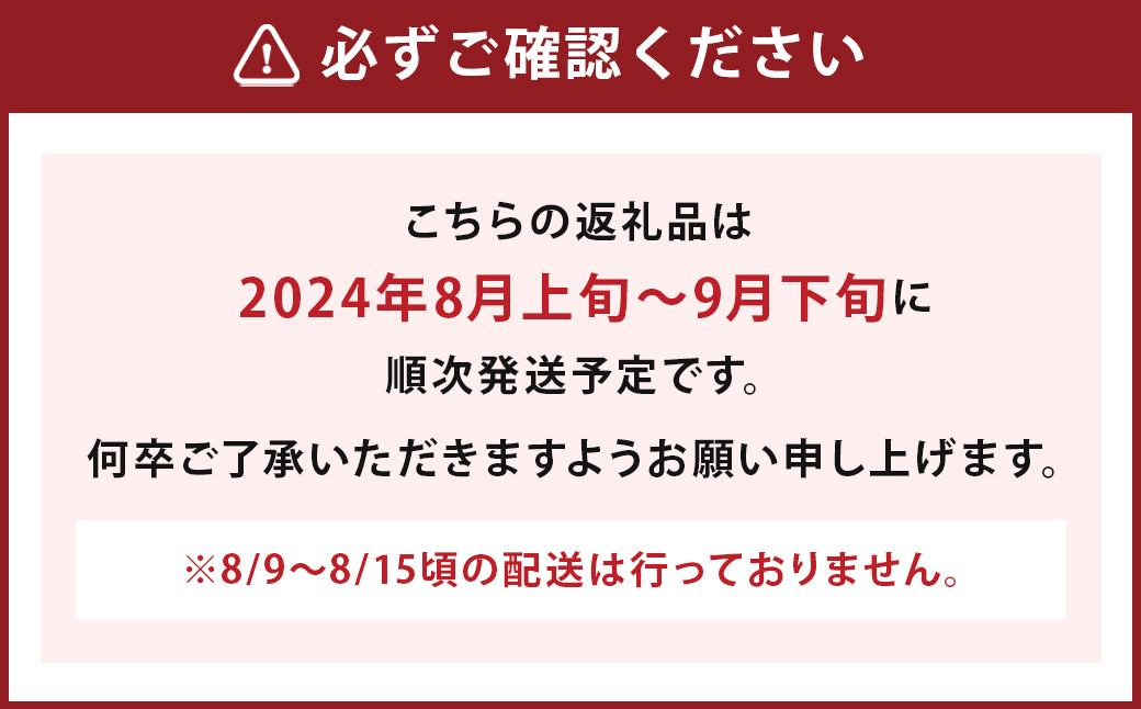 数量限定 よらん野 特選 梨 と ぶどう セット (品種おまかせ) 【2024年8月上旬～9月下旬発送】