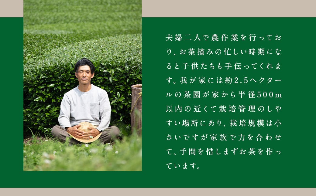 日本茶AWARD受賞 八女茶 極上煎茶 麗至 uruwashi 60g×3袋 セット お茶 緑茶 日本茶 高級茶 煎茶 飲料