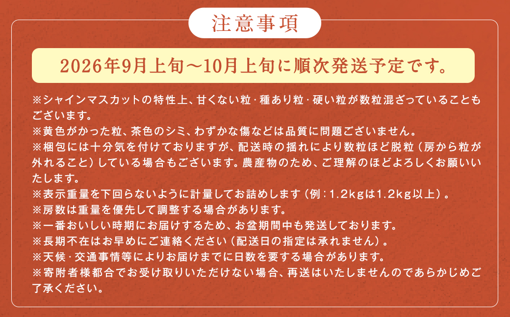 ã·ã£ã€ã³ãã¹ã«ãã 蟲åçŽéïœåç©«åœæ¥çºéã»ã¢ãã¿ãŒä¿èšŒ 1.2kgïœã2026幎9æäžæ¬ïœ10æäžæ¬ãçŠå²¡çç£ ãã«ãŒã ã¶ã©ã