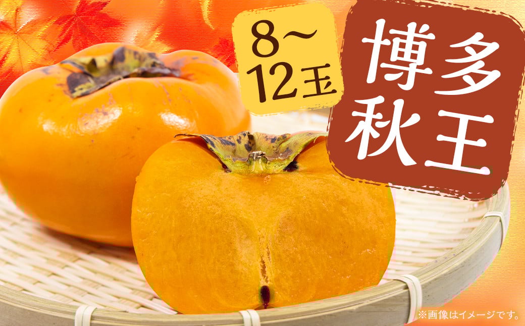 博多 秋王 8～12玉 柿 甘柿 果物 フルーツ お取り寄せ 福岡県産 九州 【2026年10月上旬から11月上旬まで順次発送予定】