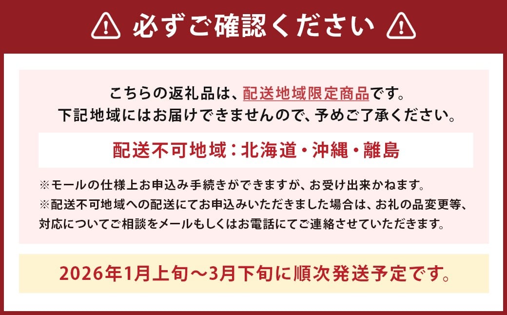 完熟あまおう（大粒サイズ）275g×2パック 計約550g【2026年1月上旬から3月下旬頃発送予定】 苺 いちご イチゴ 果物 くだもの フルーツ 国産 冷蔵