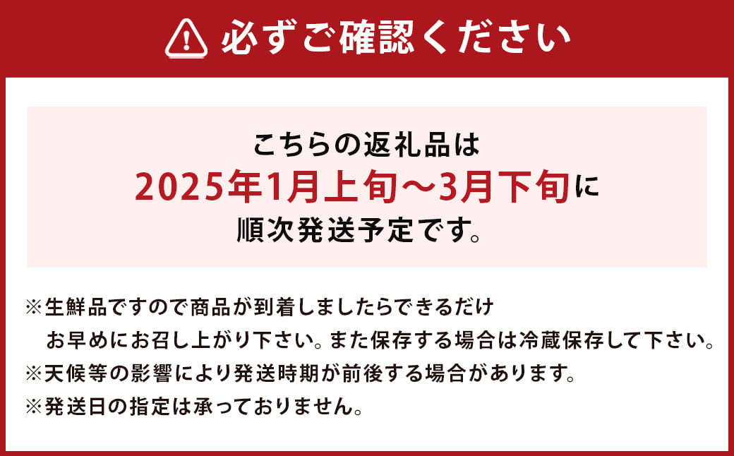 厳選 特大 あまおう 約420g 9玉～15玉入 【2025年1月上旬から3月下旬発送予定】 福岡県産 いちご 苺 果物 フルーツ お取り寄せ