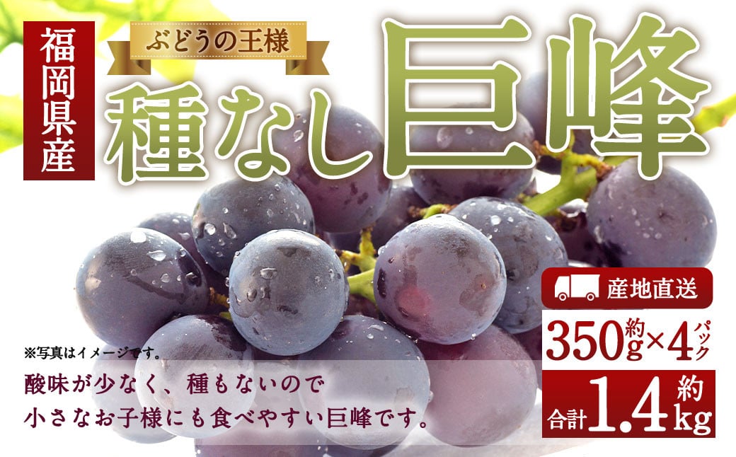 数量限定 種なし 巨峰  約350g×4パック 計約1.4kg 【2025年6月下旬～8月上旬発送予定】ぶどう ブドウ 果物 フルーツ 福岡県産