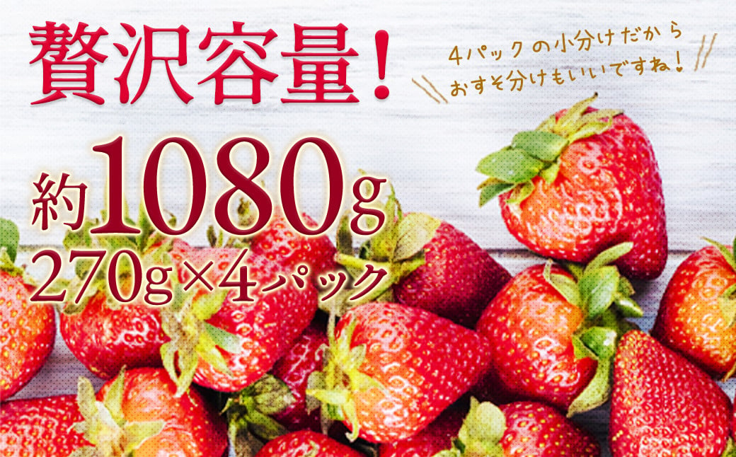 【2回定期便】いちご「あまおう」 約270g×4パック 合計 約2160g【2024年12月中旬発送開始】