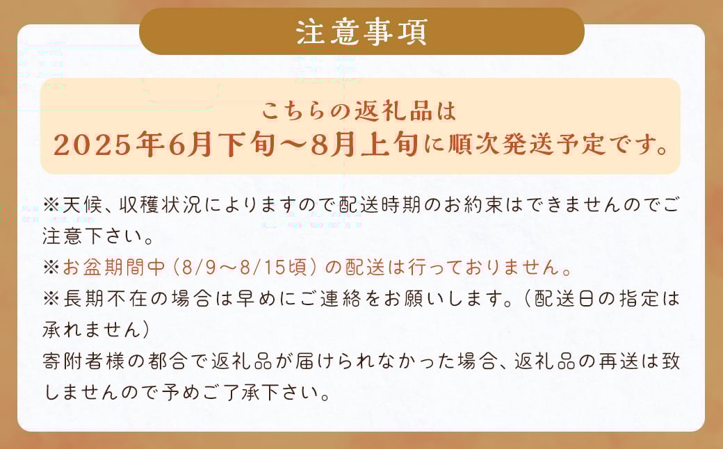 数量限定 種なし 巨峰  約350g×4パック 計約1.4kg 【2025年6月下旬～8月上旬発送予定】ぶどう ブドウ 果物 フルーツ 福岡県産