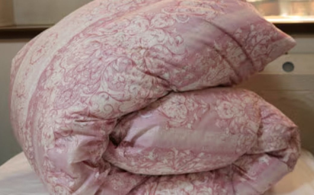 羽毛 専門工場 直送 国産 羽毛ふとん ダックダウン 70% 1.0kg 防臭加工 色柄おまかせ 洗える羽毛ふとん 収納 ケース付き マンション 暑がり 軽量 タイプ 節電 対策 福岡県 筑後市