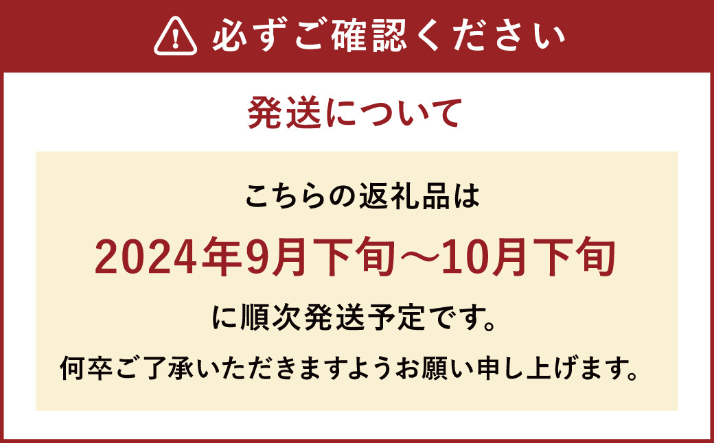 新興梨 9～12玉 約5kg ナシ 梨 福岡県産 【2024年9月下旬～10月下旬発送】