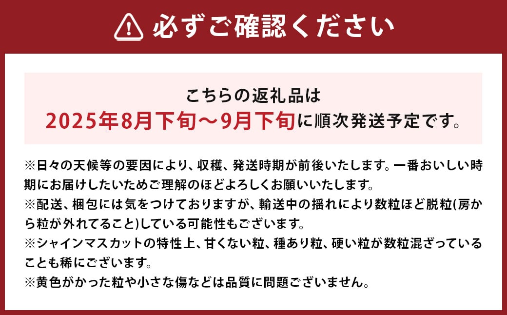 シャインマスカット 約800g 400g×2 【2025年8月下旬から9月下旬発送予定】 ぶどう 葡萄 種なし 大粒 果物  マスカット フルーツ デザート 冷蔵