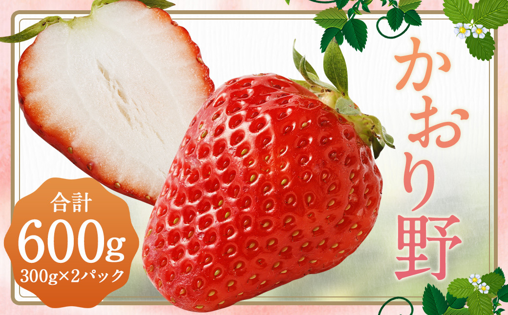 いちご「かおり野」プレミアム 300g×2パック 1箱 約600g 【2025年12月下旬から2026年3月下旬発送予定】 苺 イチゴ ベリー 果物 フルーツ デザート おやつ お取り寄せ