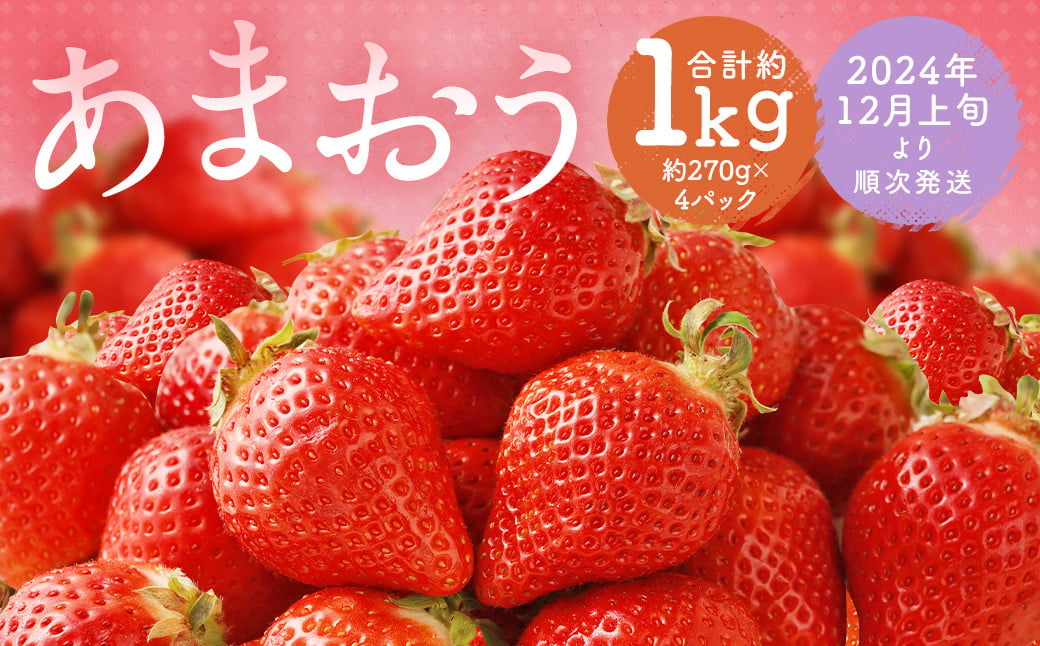 福岡県産 あまおう 合計約1,080g 約270g×4パック 【2024年12月上旬～12月下旬発送】