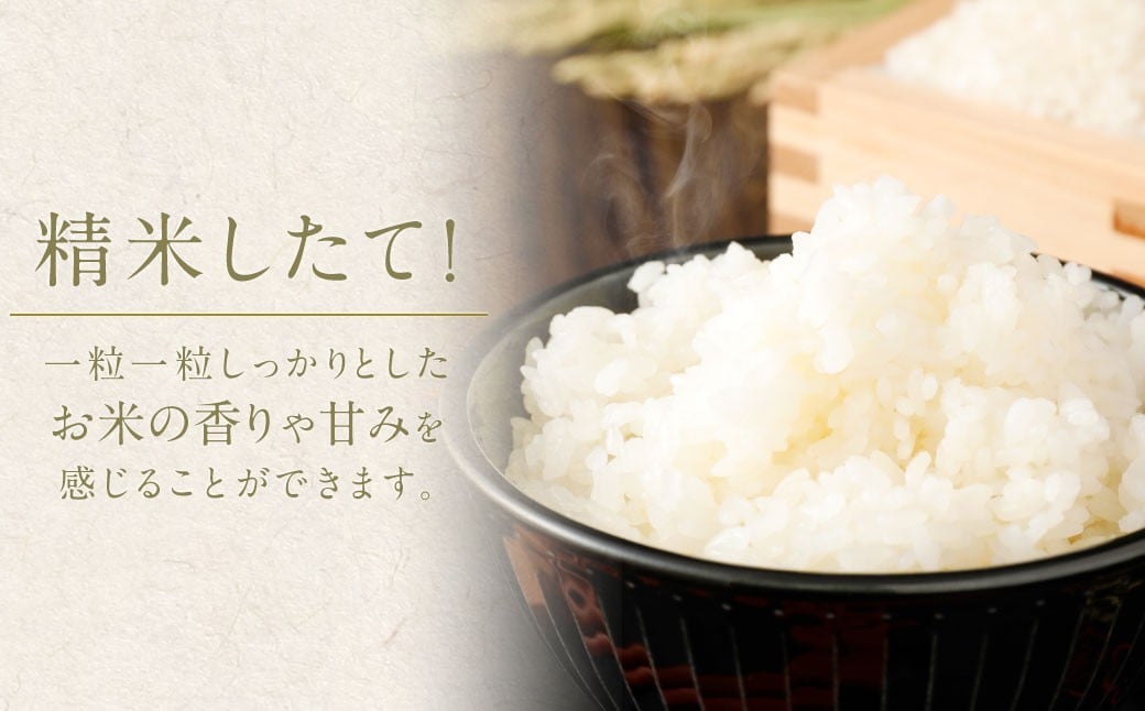 【6回定期便】 筑後の実り 15kg×6回 定期便 米 白米 ブレンド ご飯 国産 贈り物 定期便 福岡県 筑後市
