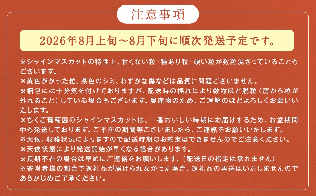 農園直送！ シャインマスカット 約1.8kg 3〜4房 【2026年8月発送予定】 ぶどう マスカット 果物 フルーツ