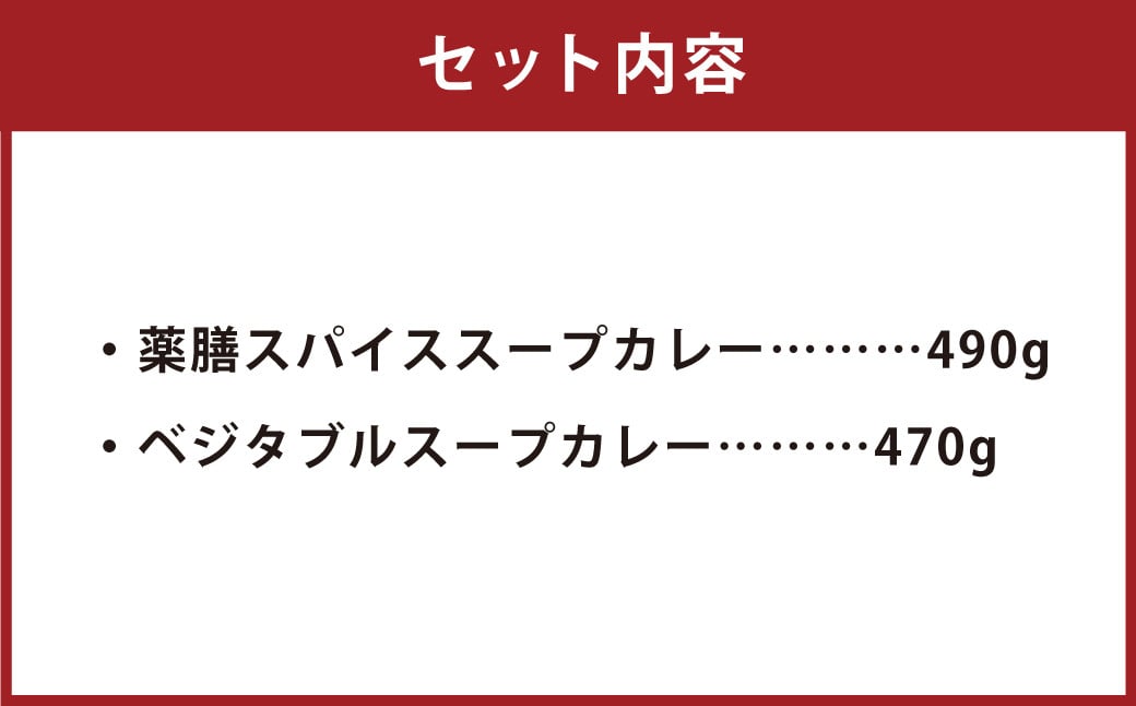 冷凍 スープ カレー  ヘルシー 2食 セット / 2パック 計約1kg  カレー スープ 薬膳 ベジタブル 冷凍 福岡県 筑後市