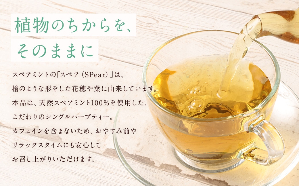 スペアミントティー （ 森のこかげ ） 1.5g × 70パック スペアミント ハーブティー ノンカフェイン 香り リフレッシュ 料理活用 お茶 茶葉 飲料 常温 ハーブ