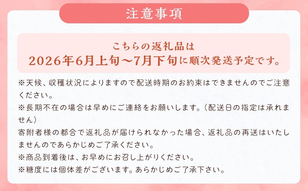  桃 8玉～9玉 福岡県産 産地直送 フルーツ 果物 もも ピーチ 果物 フルーツ お取り寄せ 【2026年6月上旬～7月下旬発送】