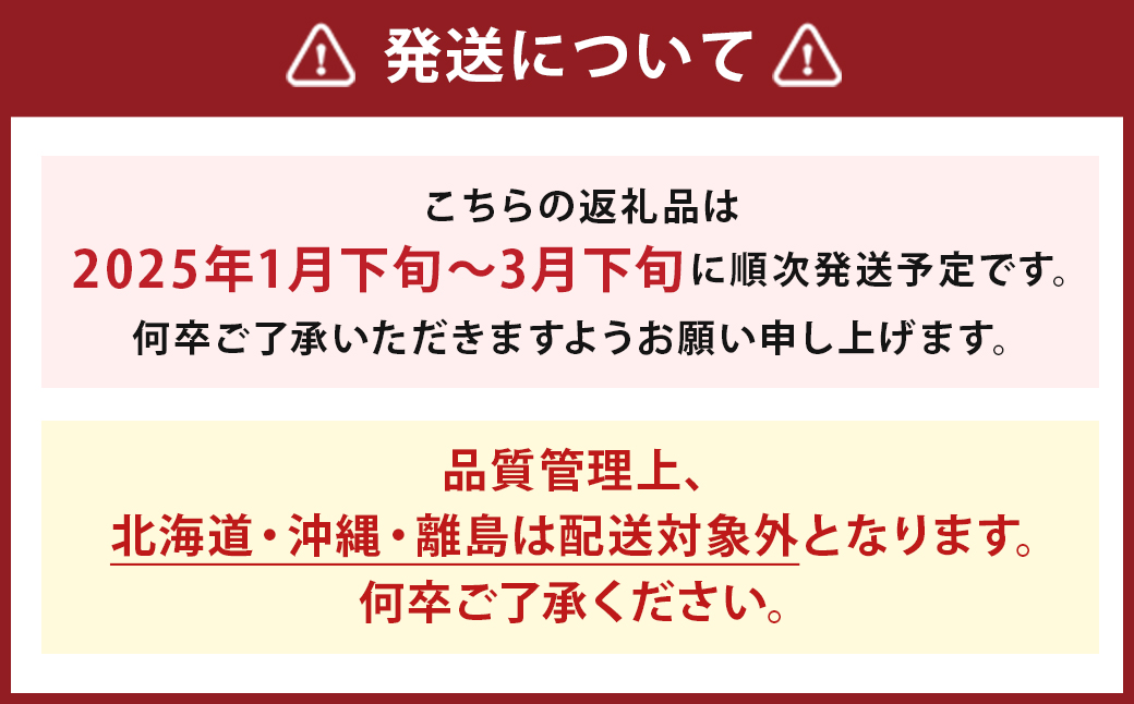 いちご「あまおう」 約270g×2パック 合計 約540g【2025年1月下旬～3月下旬発送】