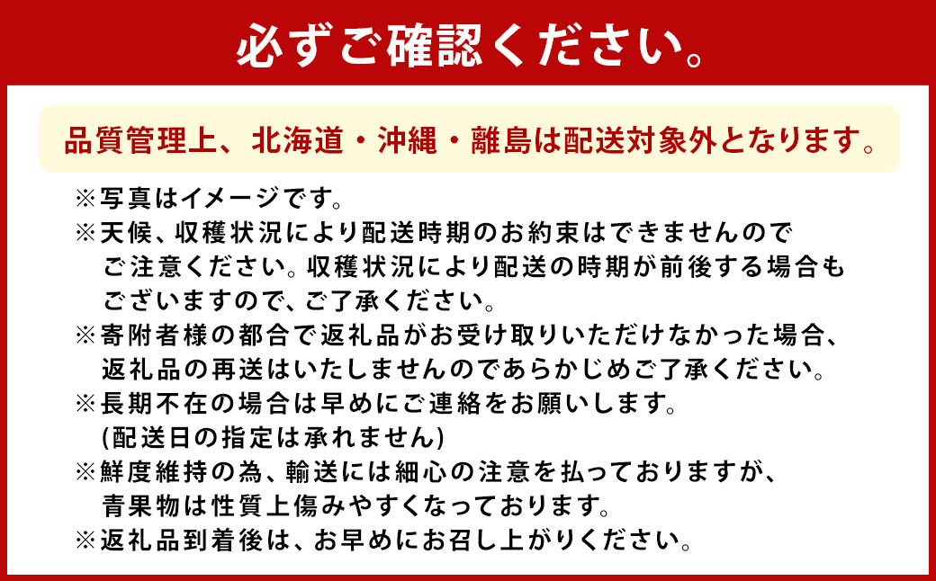 【全2回定期便】数量限定フルーツ定期便 いちご 2品種 食べ比べ ( あまおう ・ かおり野 ) 合計約2.28kg