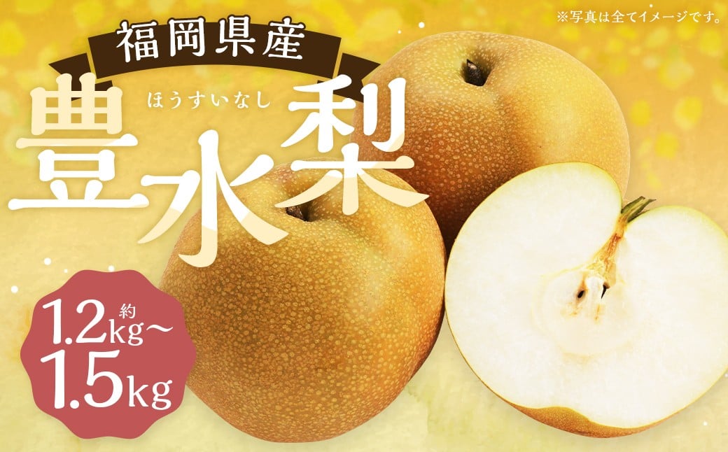豊水梨 約1.2kg～1.5kg 3玉 【よらん野】【2026年8月下旬から9月下旬発送予定】 ナシ なし 梨 フルーツ くだもの 果物 果実 3玉