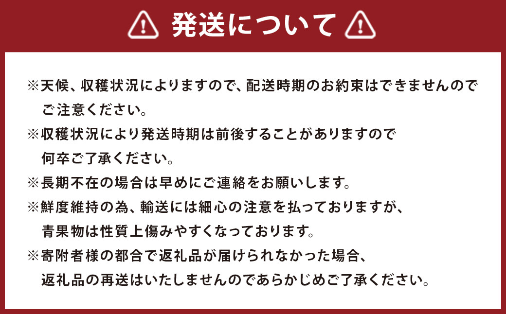 【3回定期便】いちご「あまおう」 約270g×4パック 合計 約3240g【2024年12月中旬発送開始】