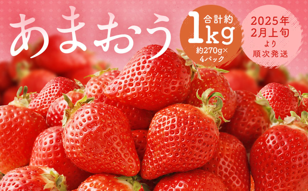 福岡県産 あまおう 合計約1,080g 約270g×4パック 【2025年2月上旬～2月下旬発送】