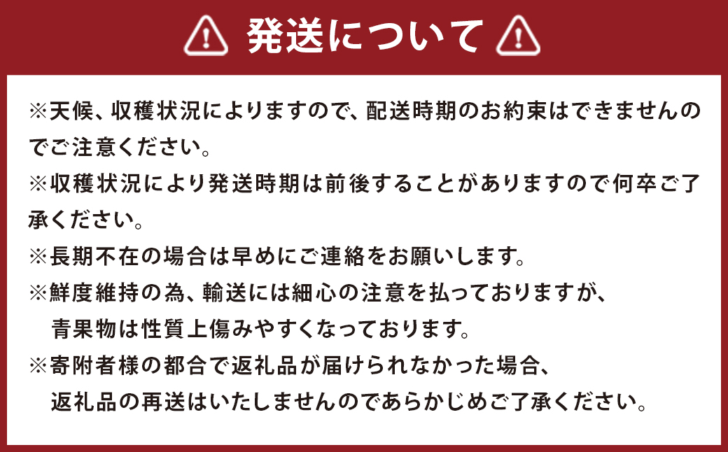 いちご「あまおう」 約270g×2パック 合計 約540g【2025年1月下旬～3月下旬発送】