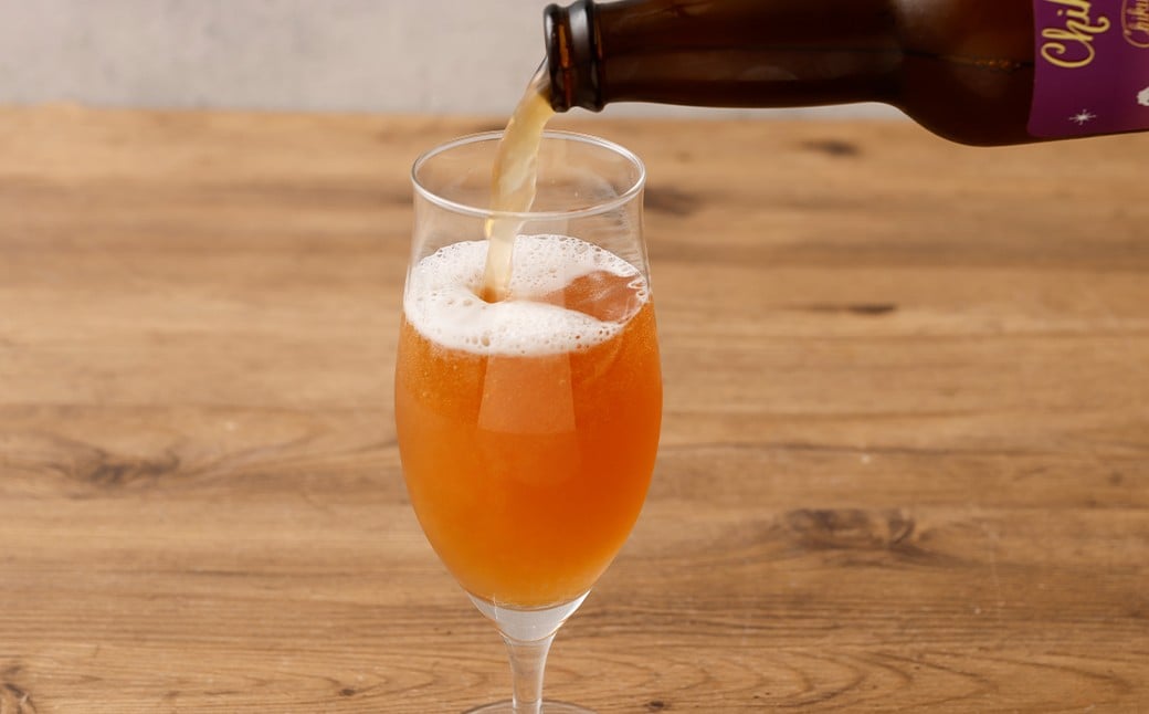 クラフトビール 2種 6本 セット （330ml×6本 計1980ml） ／ ビール お酒 酒 アルコール 家飲み 晩酌 ギフト 贈答 贈り物 プレゼント