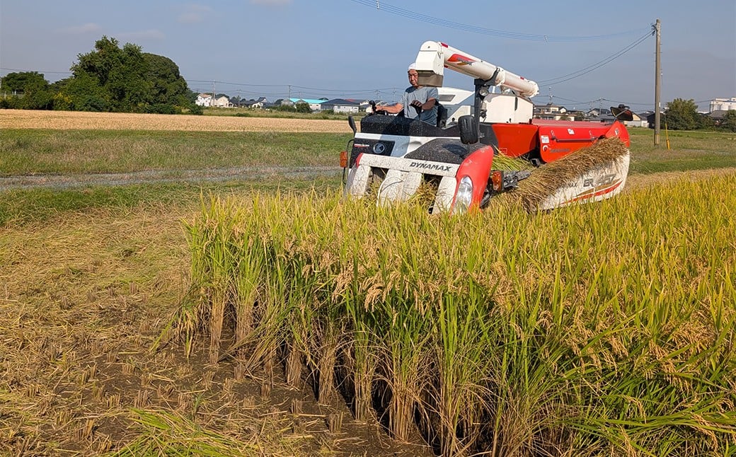 福岡県産実りつくし5kg×1袋 白米 はくまい 米 こめ ご飯 精米 国産