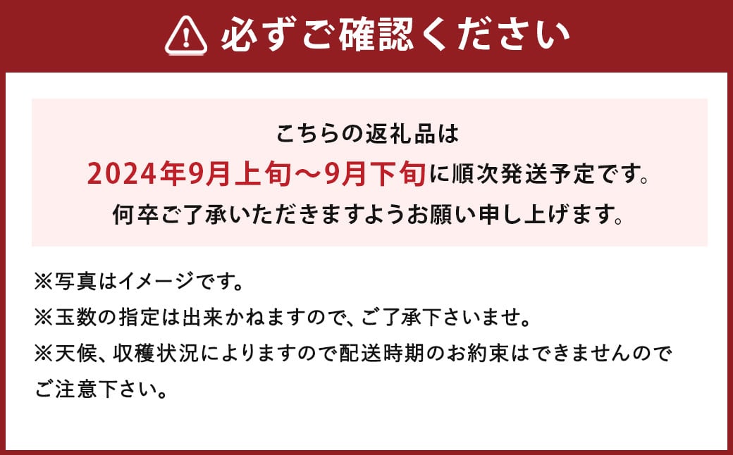 甘太梨 9玉～12玉 約5kg 梨 ナシ 果物 フルーツ 福岡県産 【2024年9月上旬～9月下旬発送】