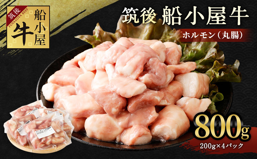 筑後 船小屋牛 丸腸 200g×4 計800g ホルモン 焼肉 もつ鍋