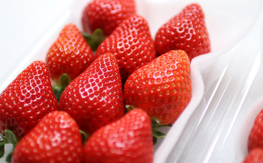 希少な地元産いちご 『みつのか』 280g×4パック 計1.12kg 【2025年12月下旬から2026年3月下旬発送予定】