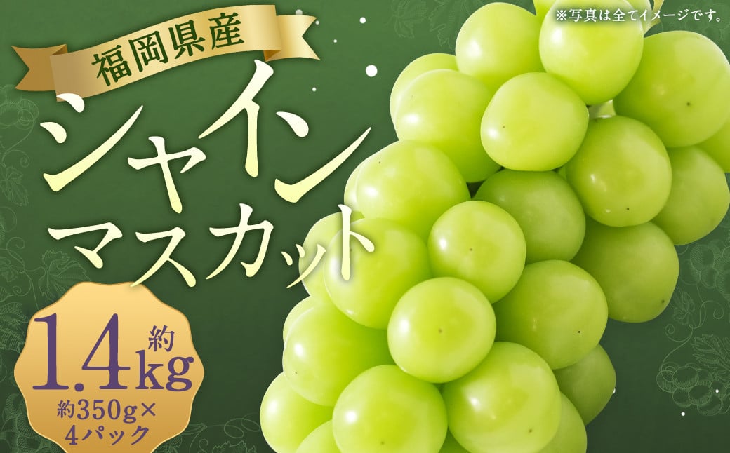 先行予約 シャインマスカット 約1.4kg 【2025年8月上旬～9月下旬発送】 ぶどう 葡萄 ブドウ マスカット 果物 フルーツ