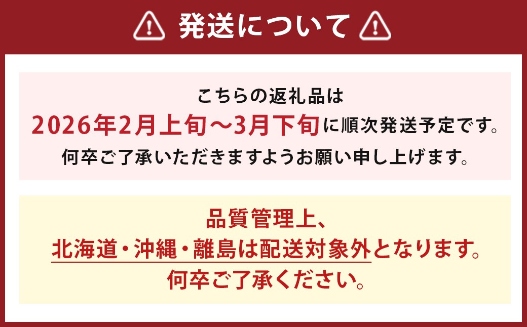 いちご 「あまおう」 約270g×6パック 計約1620g 苺 イチゴ 果物 フルーツ 【2026年2月上旬～2026年3月下旬順次発送予定】