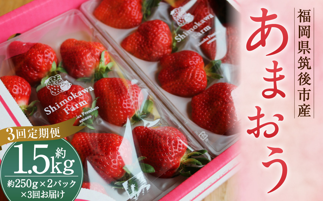 桃 2026年 先行予約 7月の旬な 白桃 をお届け！約1.5kg 5～7玉 もも