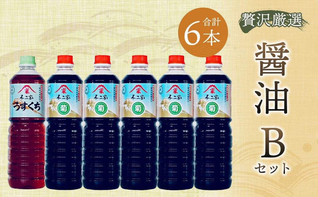 【贅沢厳選】醤油6本 Bセット 1L×6本 九州醤油 薄口 濃口