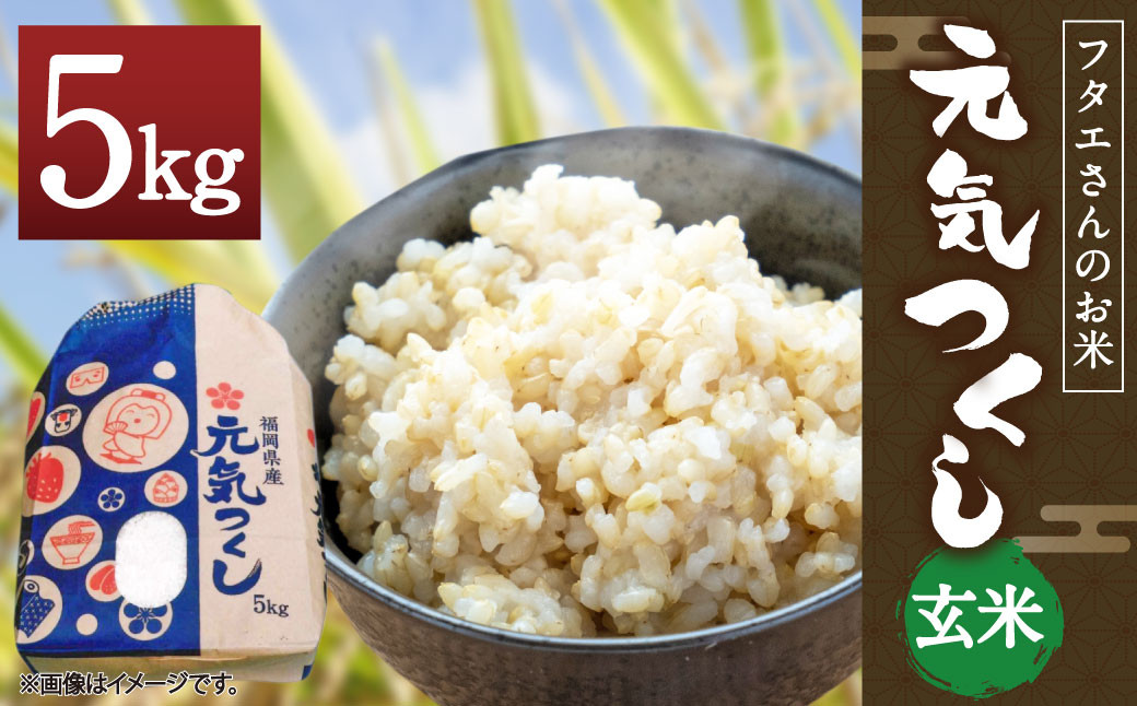 フタエさんのお米 元気つくし 5kg 玄米 うるち米 ダイエット