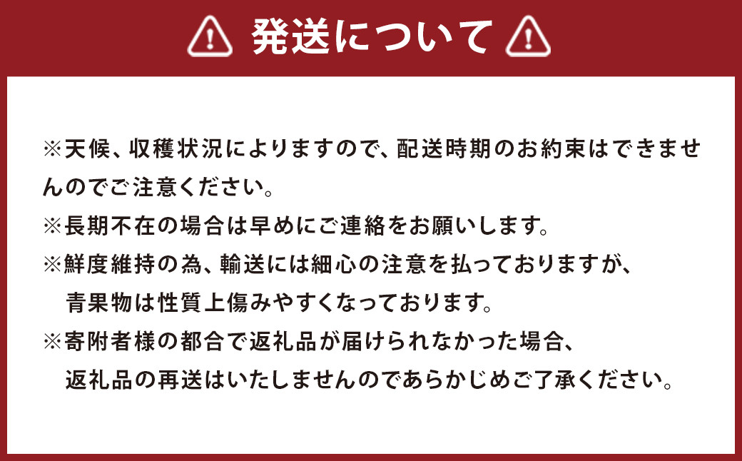  【期間限定】博多 あまおう いちご エクセレント 約450g×2パック 合計約900g【2025年1月下旬～2月下旬順次発送予定】