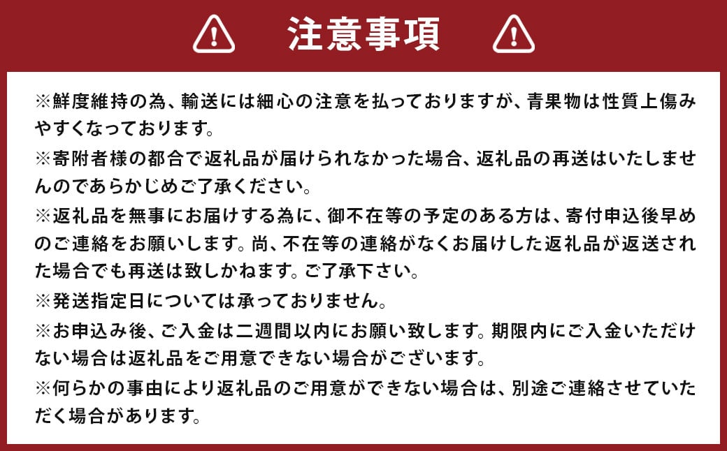 【2回定期便】いちご「かおり野」プレミアム 合計約2.4kg 約1.2kg（300g×4パック）×2回【2025年1月下旬から3月下旬発送予定予定】 苺 イチゴ ベリー 果物 フルーツ デザート おやつ お取り寄せ