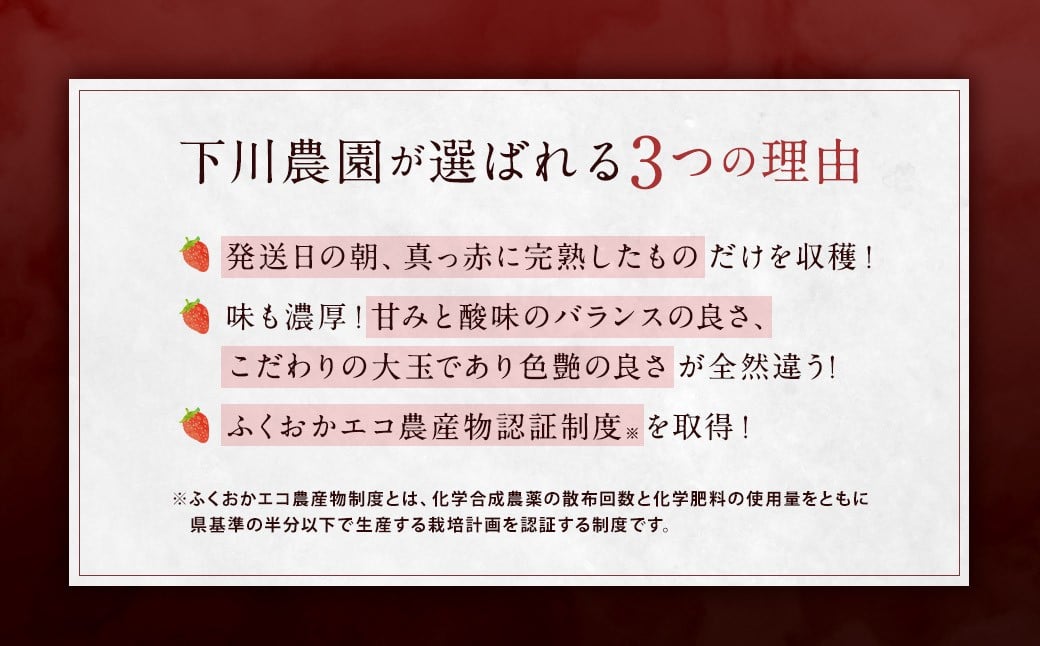 特別栽培 の 濃厚 完熟 あまおう 約1kg 約250g×4パック 【2026年1月上旬～3月下旬まで発送予定】 いちご 苺 果物 フルーツ