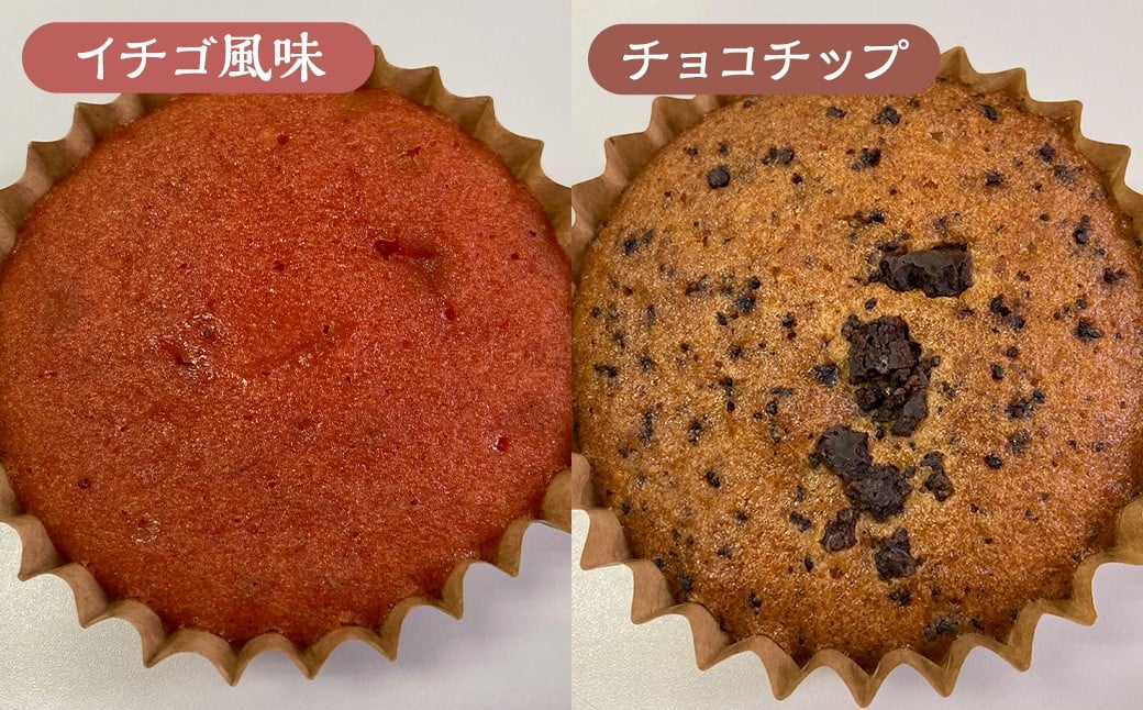 【4種類から選べる】 マドレーヌ 40個 プレーン ・ チョコ ・ イチゴ風味 ・ チョコチップ もったいないスイーツ スポンジの耳で作った 訳あり アウトレット ／ スイーツ デザート お菓子 おかし 菓子 焼き菓子 焼菓子 ギフト セット 詰め合わせ 福岡県 筑後市