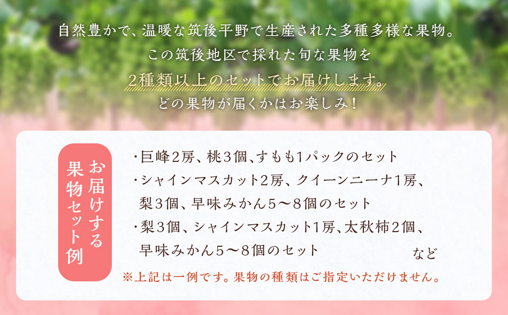 旬の果物 詰め合わせ セット 福岡県産 フルーツ 季節 果物