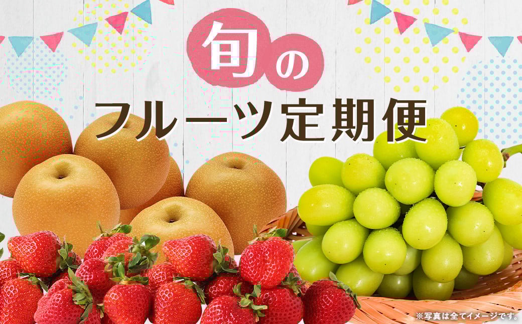 【年3回定期便】数量限定！ 旬のフルーツ 定期便【 梨 ・ シャインマスカット ・ あまおう 】 【2026年7月下旬頃から順次発送予定】
