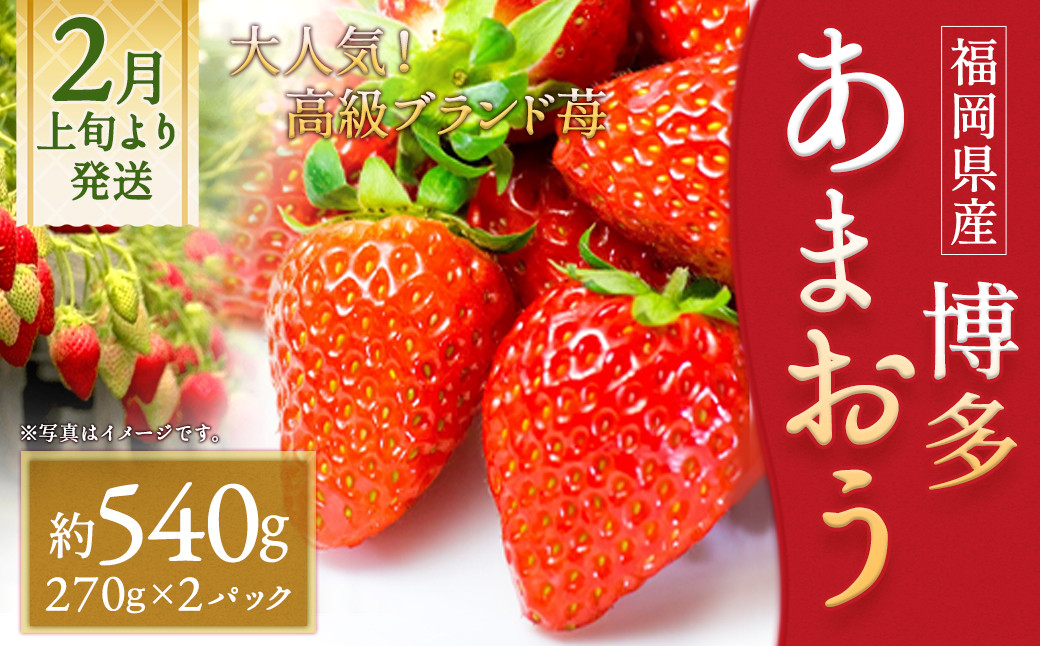 いちご「あまおう」 約270g×2パック 合計 約540g【2026年2月上旬～3月下旬発送】