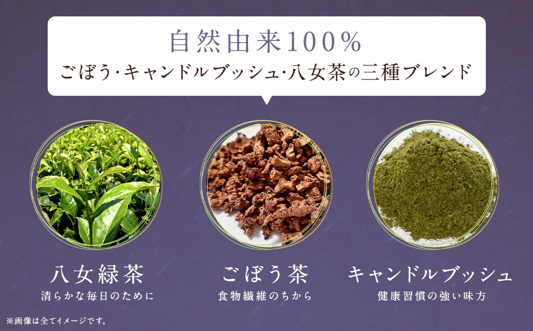 スッキリダイエット八女茶 （ 森のこかげ ） 3g × 100パック ごぼう キャンドルブッシュ 八女茶 食物繊維 ブレンド リフレッシュ お茶 茶葉 飲料 常温 ダイエット カテキン