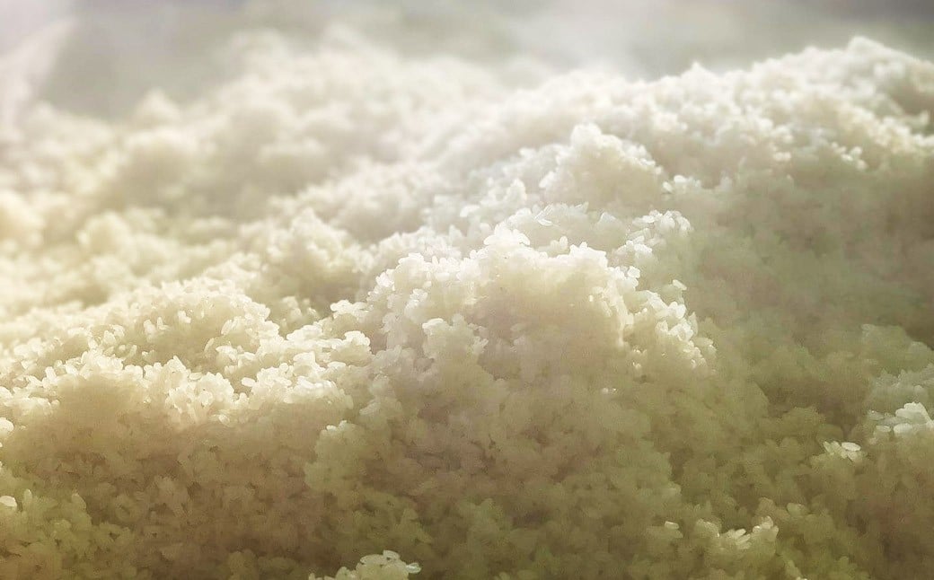 米麹 1kg ／ 米 こめ コメ 米麴 米糀 米こうじ 麹 麴 糀 こうじ 国産 福岡県 筑後市