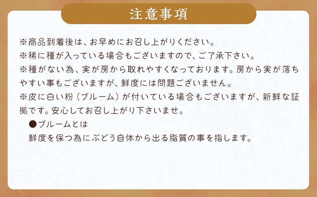 数量限定 種なし 巨峰  約350g×4パック 計約1.4kg 【2025年6月下旬～8月上旬発送予定】ぶどう ブドウ 果物 フルーツ 福岡県産