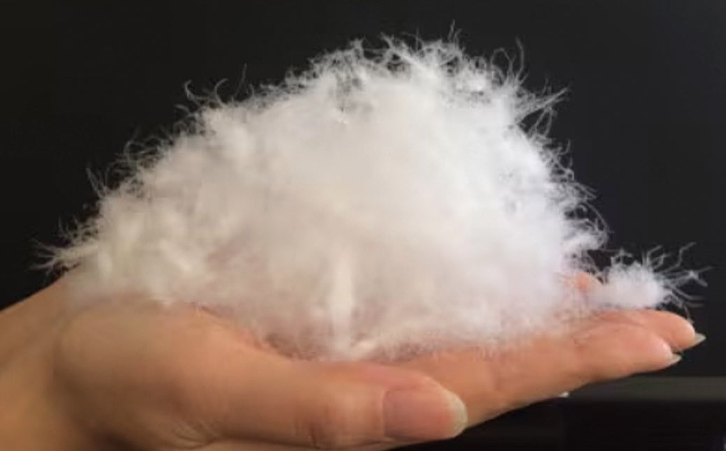 羽毛 専門工場 直送 国産 羽毛ふとん ダックダウン 70% 1.0kg 防臭加工 色柄おまかせ 洗える羽毛ふとん 収納 ケース付き マンション 暑がり 軽量 タイプ 節電 対策 福岡県 筑後市