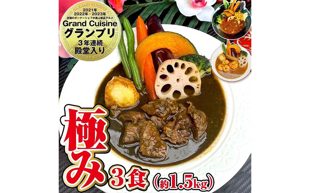 冷凍 スープカレー 極み 3食 セット 計約1.5kg / ビーフ 薬膳 エビ カレー レトルトカレー レトルト食品 詰め合わせ