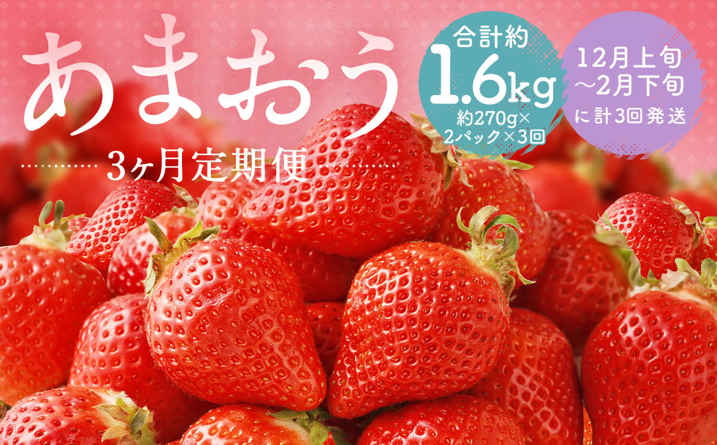 【3回定期便】福岡県産 あまおう 合計約1.62kg 約270g×2パック×3回 【2024年12月上旬発送開始】